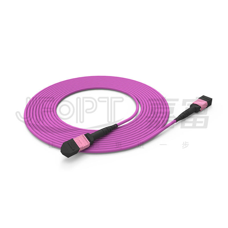 прыгун ядров мультимодный OM4 50/125 LSZH 3.0-4.0mm Heather гибкого провода 24 100G MTP фиолетовый