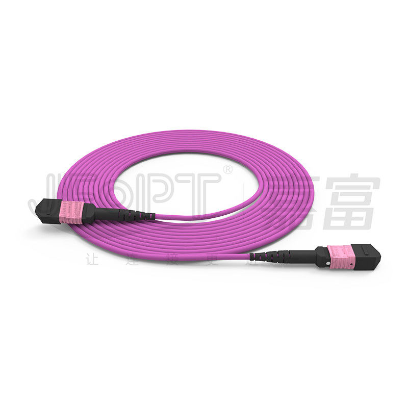 прыгун ядров мультимодный OM4 50/125 LSZH 3.0-4.0mm Heather гибкого провода 24 100G MTP фиолетовый