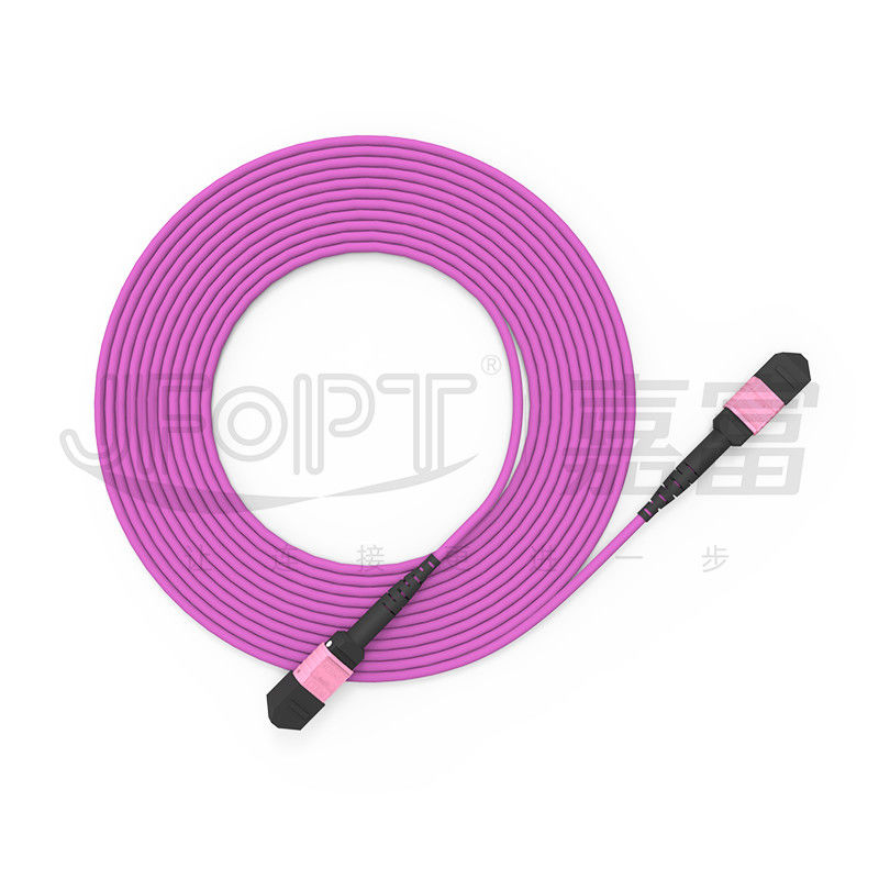 прыгун ядров мультимодный OM4 50/125 LSZH 3.0-4.0mm Heather гибкого провода 24 100G MTP фиолетовый